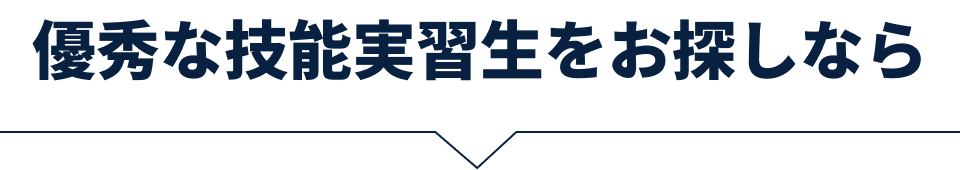 優秀な技能実習生をお探しなら